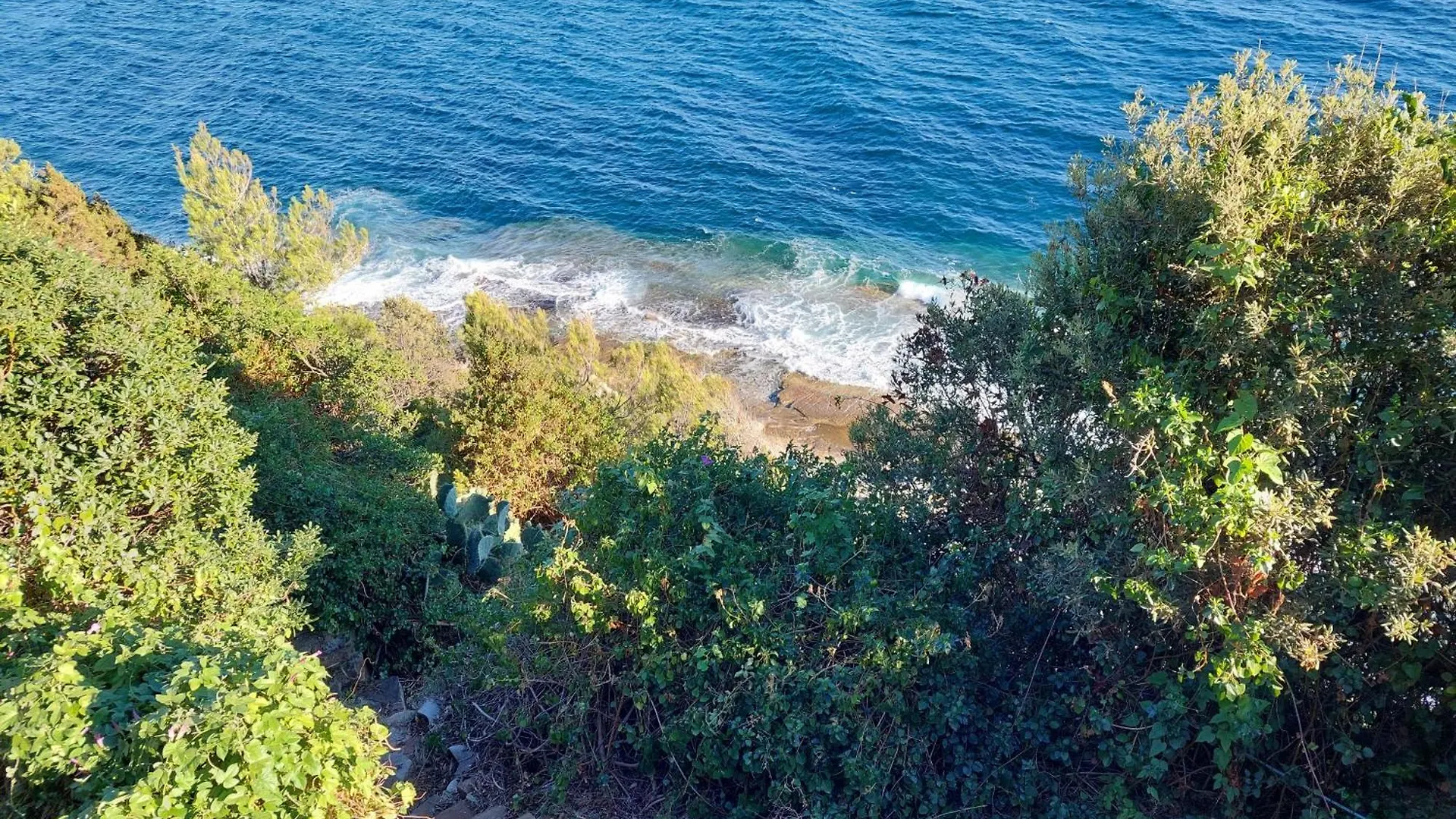 Maisonnette Vue Mer Carqueiranne