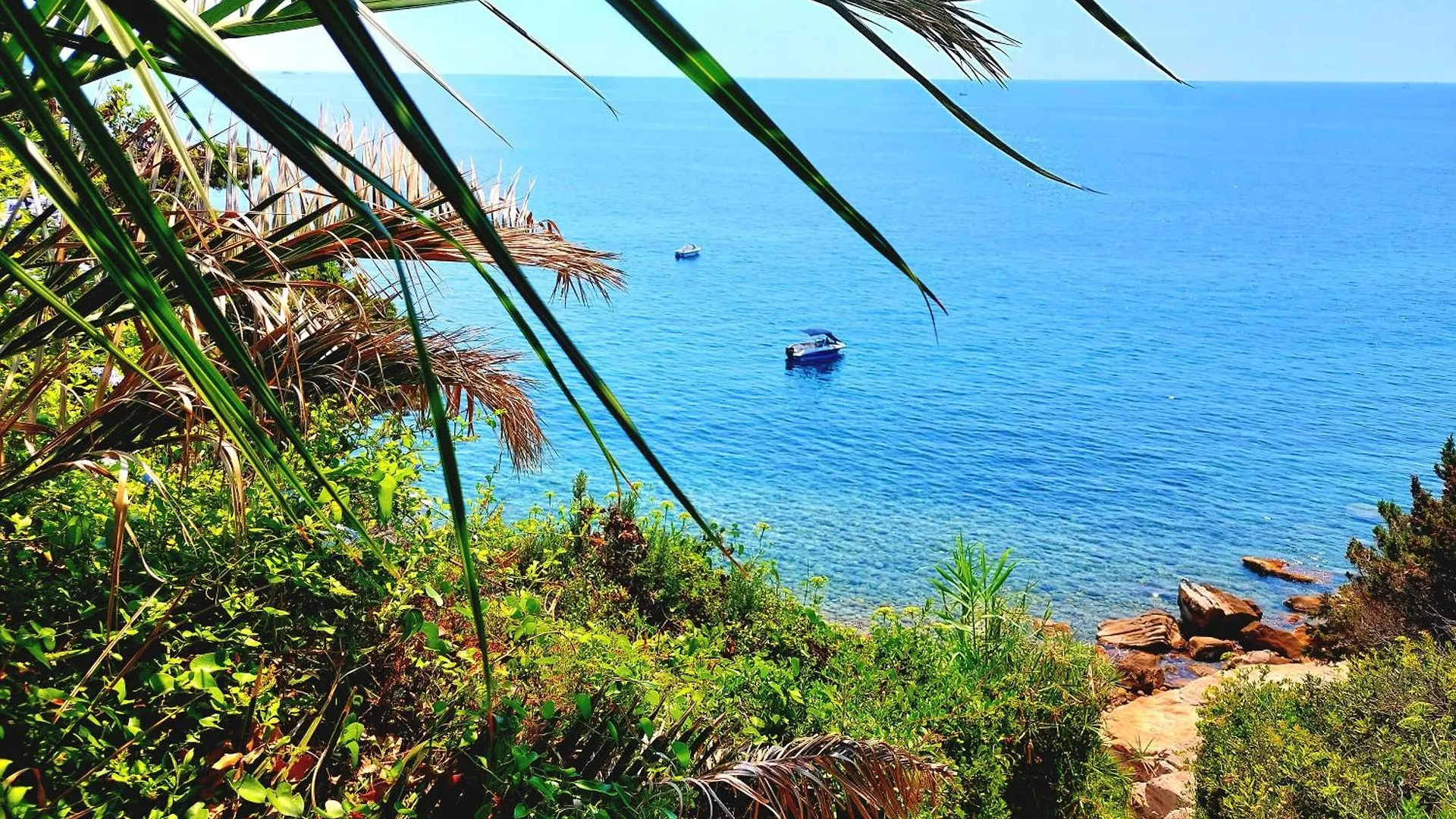 Maisonnette Vue Mer Carqueiranne Holiday home